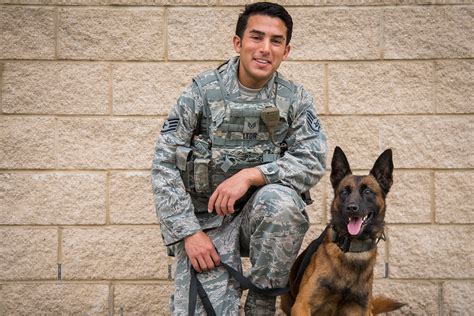 Soldier Dogs: Protecting and Serving Alongside their Human Comrades